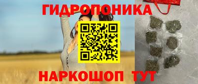 соль ск Кулебаки