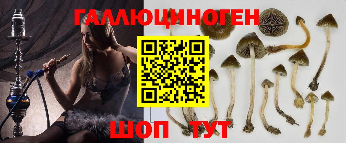 Псилоцибиновые грибы GOLDEN TEACHER Волжский
