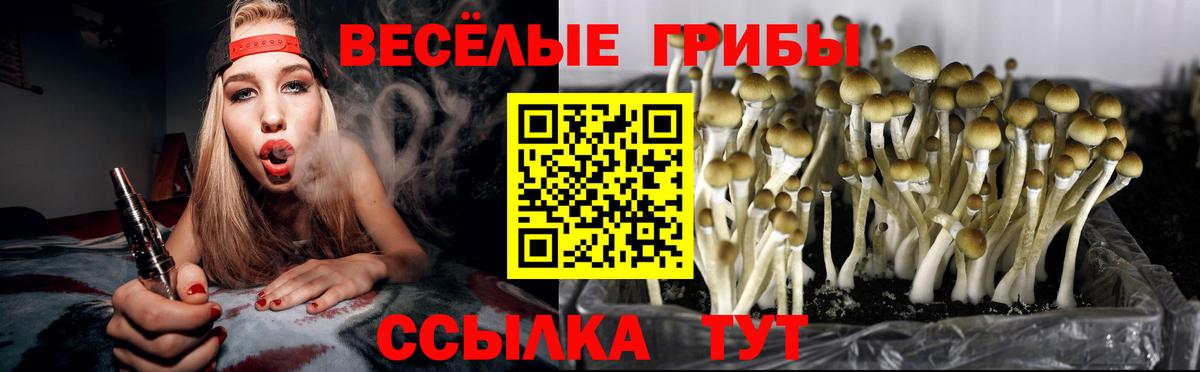 Галлюциногенные грибы Psilocybine cubensis  Галлюциногенные грибы мухоморы  Волжский  Вход с VPN 